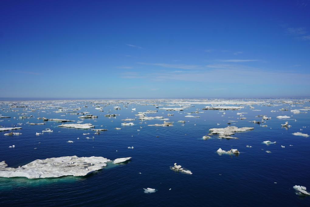 �Ї��ƌW(xu��)�Ұl(f��)�F(xi��n)����ȫ�����¡����W(xu��)�_�P(gu��n)��